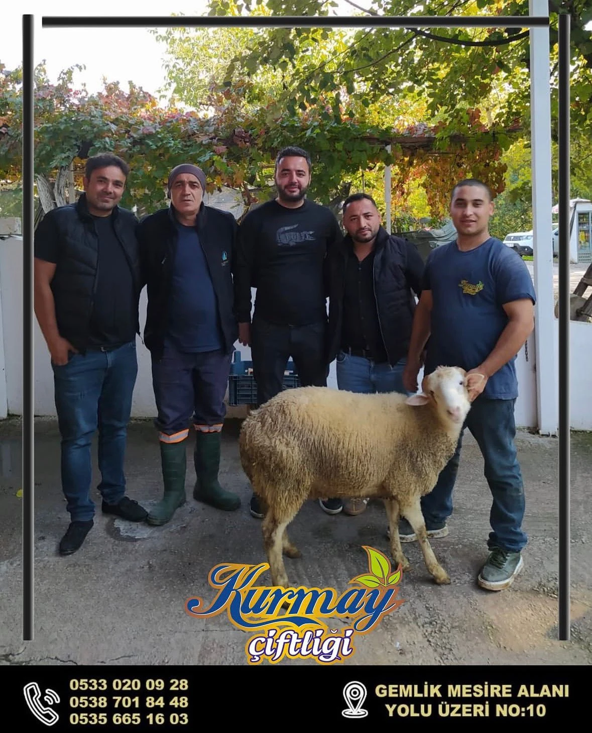 Küçükbaşlarımızdan