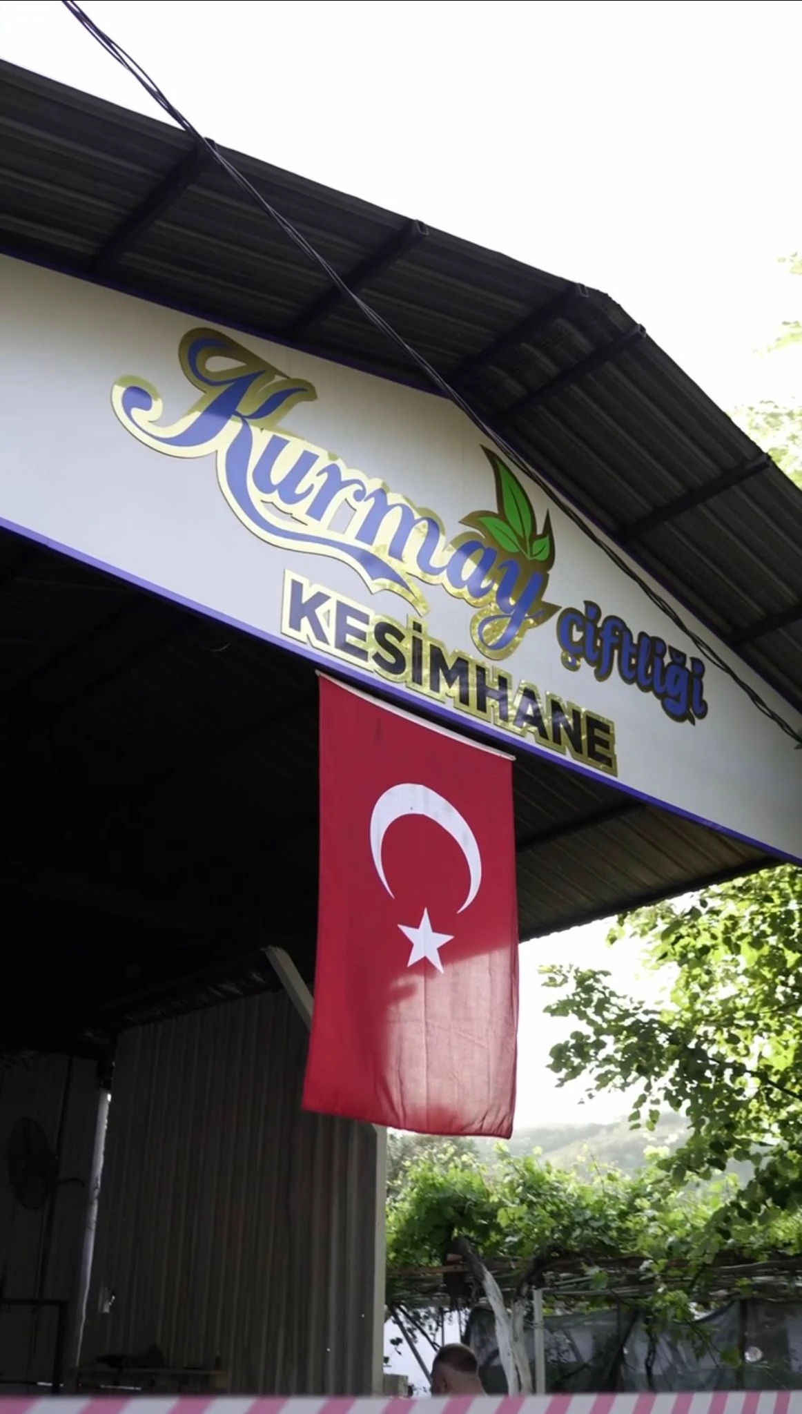 Kesimhanemiz.