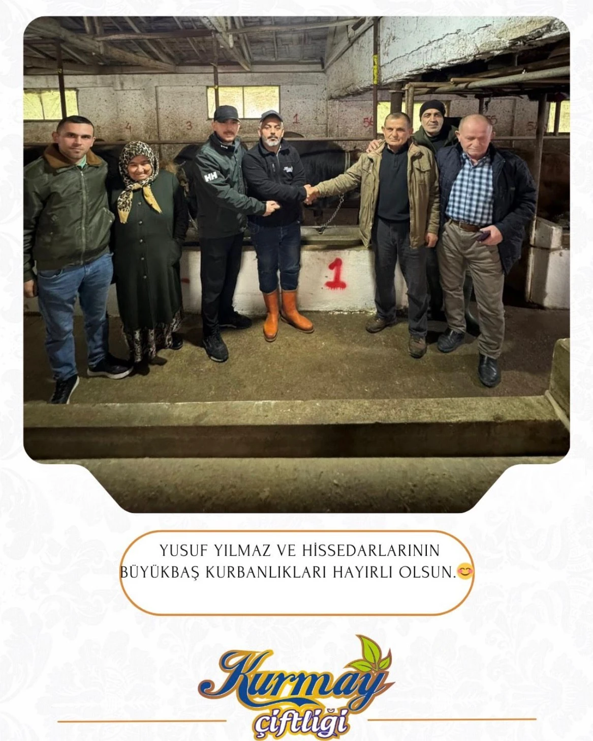 Büyükbaşlarımız ve misafirlerimiz.