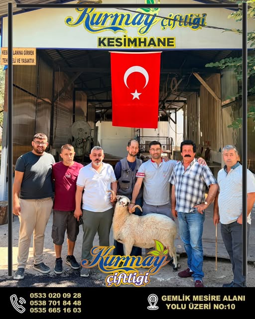 Çiftliğimizde bir arada